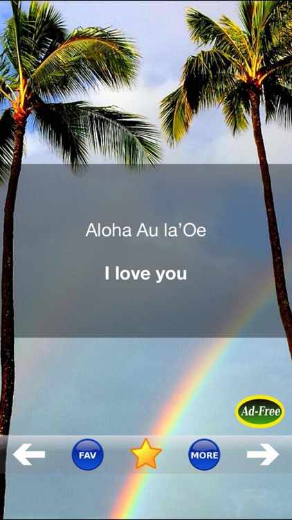 Hawaiian Words & Phrases! Hawaii Dictionary and Casual Language Translation Guide screenshot-3