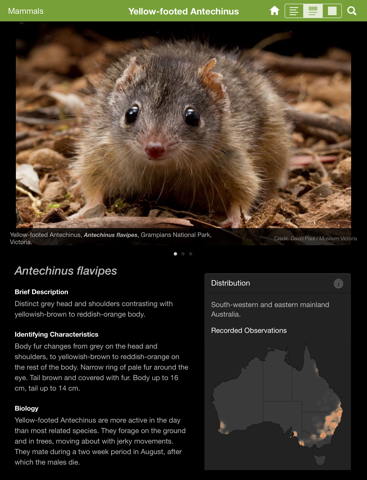 Field Guide to Victorian Fauna at App Store downloads and cost ...