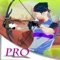 Bow Arrow Shooter PRO