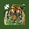 Wild animals puzzle