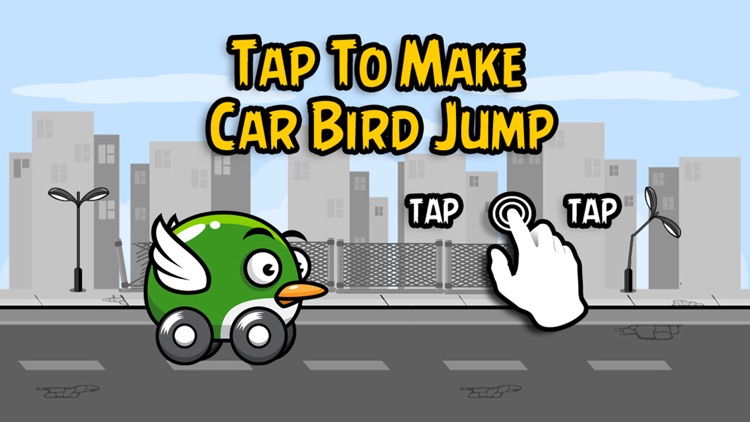 Car Bird FLY!