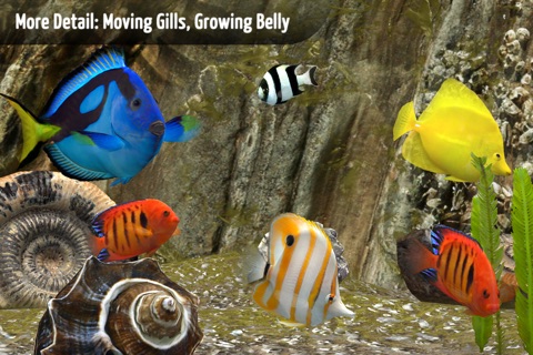 MyReef 3D Aquarium 3 screenshot 4