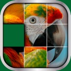 Top 50 Games Apps Like Animals Sliding Puzzle Game – Move and Match Pieces to Put Together Cute Pets Photos - Best Alternatives