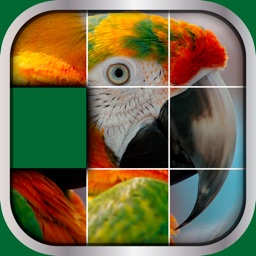 Animals Sliding Puzzle Game – Move and Match Pieces to Put Together Cute Pets Photos