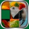 Animals Sliding Puzzle Game – Move and Match Pieces to Put Together Cute Pets Photos