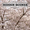 Hidden Scenes - First of Spring