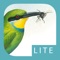 Sasol eBirds of Southern Africa LITE