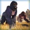 Gorilla Monkey Running Adventure Game For Fun