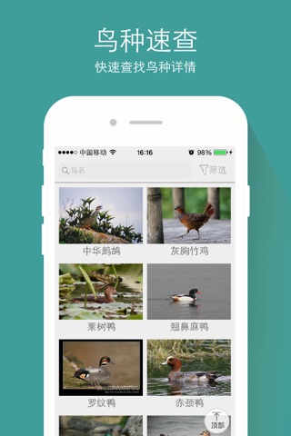 中国野鸟速查 screenshot 4