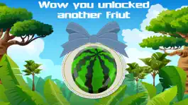 Game screenshot Ninja Fruit Cutter hack