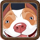 Top 48 Entertainment Apps Like Dog Teaser - Tease Cat Noises And Scare Animal Soundboard Free - Best Alternatives