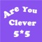 Are You Clever - 5X5 Color Blind Puzzle