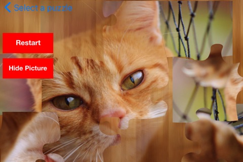 PuzzL Cats - Puzzles and Jigsaws screenshot 2
