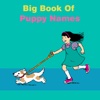 All about Puppy Names Ideas