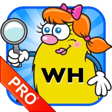 Activities of WH Question Cards - Pro: Who, What, When, Where, Why