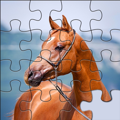 Jigsaw Horses Win Quest For Kids & Toddlers - Puzzlers for All iOS App