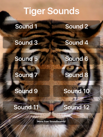 Tiger Sounds - náhled