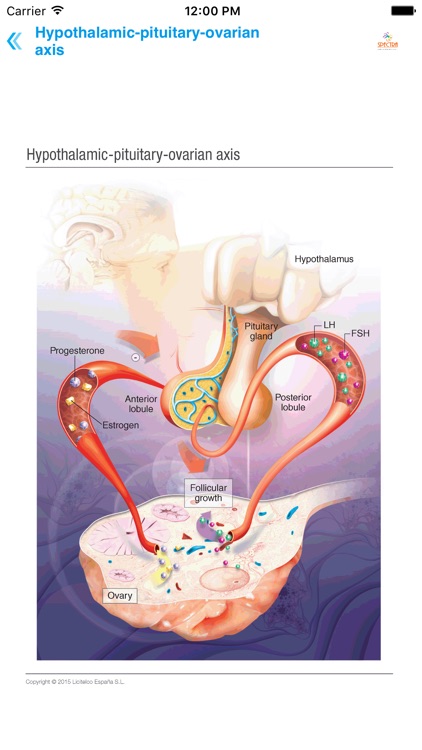 Mini Atlas Gynaecology