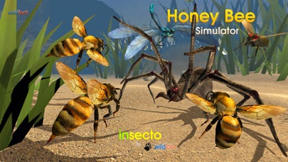 Honey Bee Simulator By Boris Tsarkov More Detailed Information