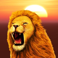 Activities of Lion Simulator 3D - Ultimate Wild Life Lion Simulator
