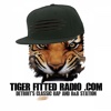 Tiger Fitted Radio