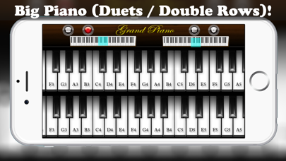 How to cancel & delete Virtual Piano Pro - Real Keyboard Music Maker with Chords Learning and Songs Recorder from iphone & ipad 1