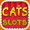 Cats Casino Slots Machine