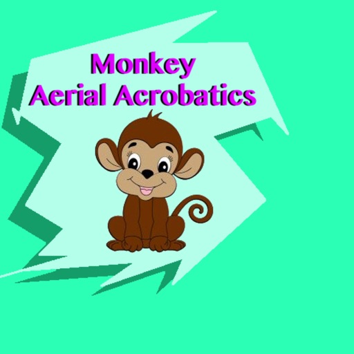 Monkey Aerial Acrobatics