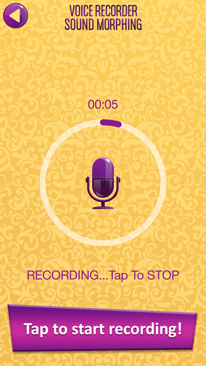 Voice Recorder Sound Morphing  Audio Effects - Transform your Speech with Vocal Changer