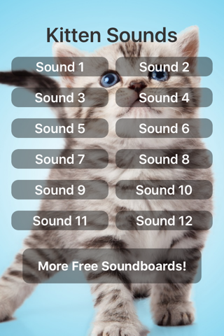 Kitten Sounds! - náhled
