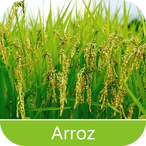 Pragas de Arroz icon