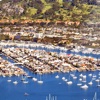 Balboa Island Homes App