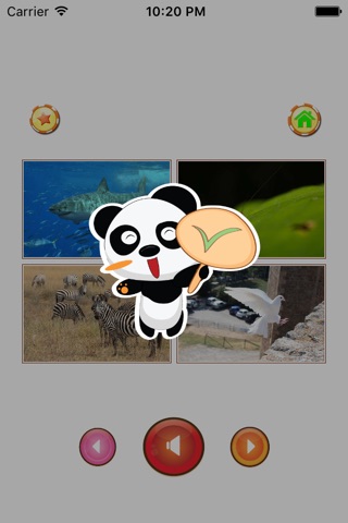 Animal sounds - App for kids screenshot 4