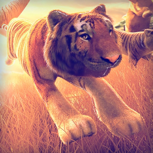 Tiger World | Tigers Simulator Racing Game For Kids icon