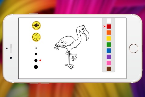 pink flamingo coloring book bird show for kid screenshot 3
