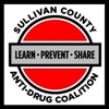 Sullivan County Anti-Drug Coalition Retail Environmental Scan