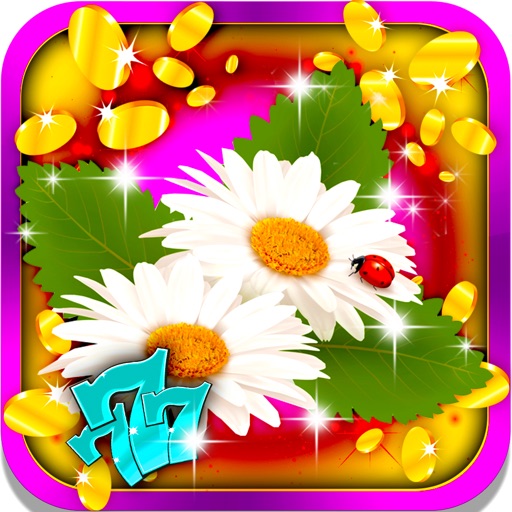 Sunflower Slot Machine: Win lots of spectacular rewards in the summer paradise Icon