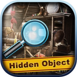 Washington Crimes - Hidden Object