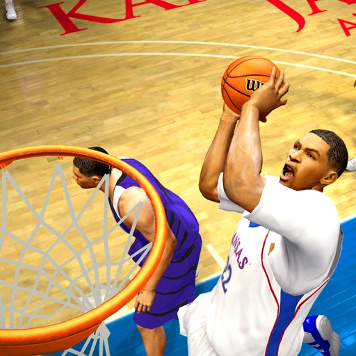 3D Basketball Champions '15 icon