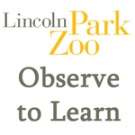 Observe to Learn Exploring Animal Behavior