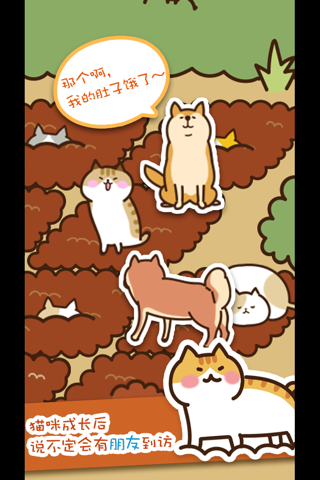 Field of Cats screenshot 3