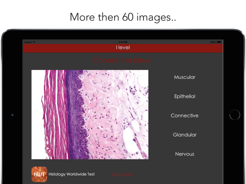 Histology Worldwide Test Lite for iPad screenshot 2