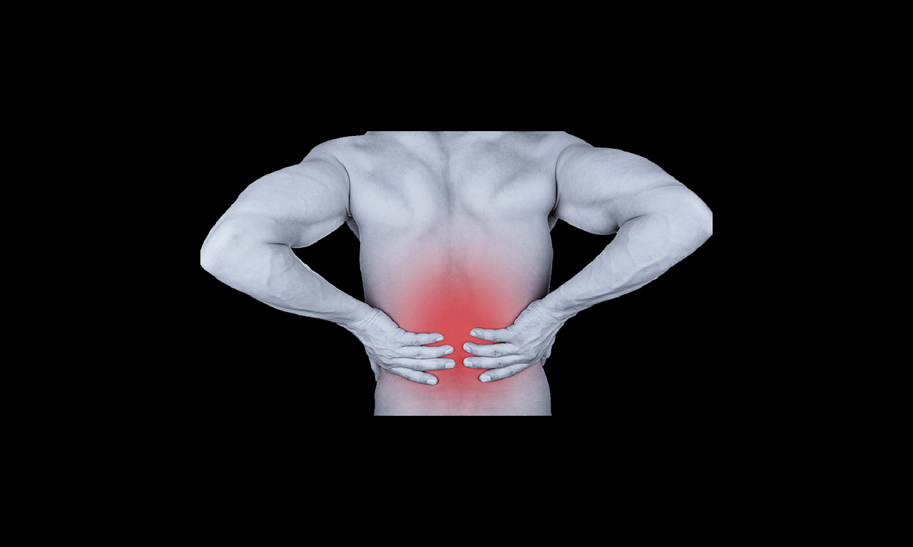Physical Back Workout (Premium) - Heal Your Back Pain With This Efficient Training Routine