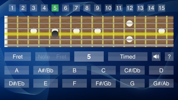 Fretboard Guru For Guitar