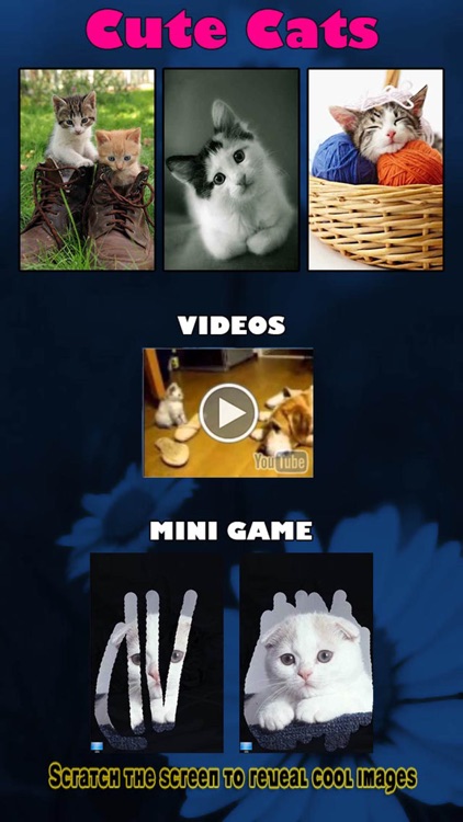 A Cat Game for Kids - Playing cool best Hidden Pics game - Not a Dogs game but an app for Cat Lover