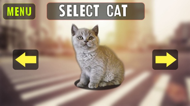 Cat In City Simulator(圖3)-速報App