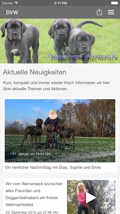 Doggen vom Wernerseck