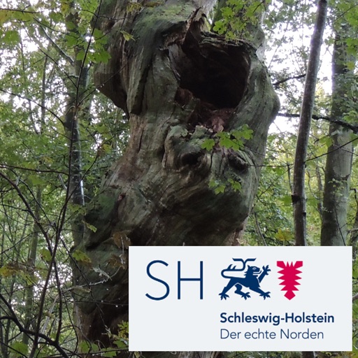 Altbäume Schleswig-Holstein icon