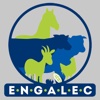 Engalec