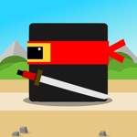 Black Ninja The Protector